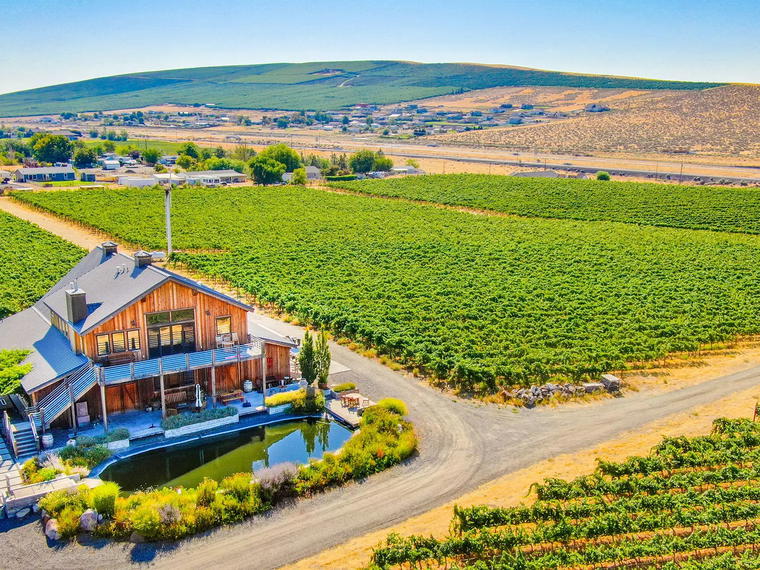 Upchurch Vineyard, Benton City, United States
