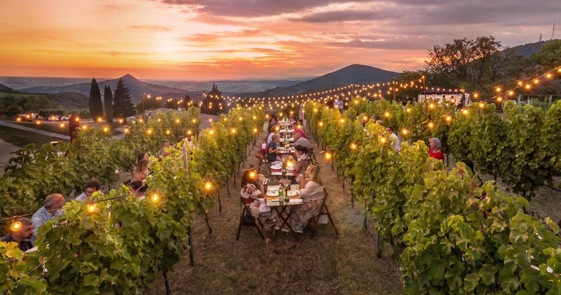 Cantina Colli Euganei