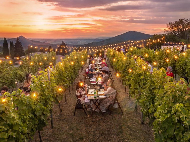 Cantina Colli Euganei, Vo, Italy