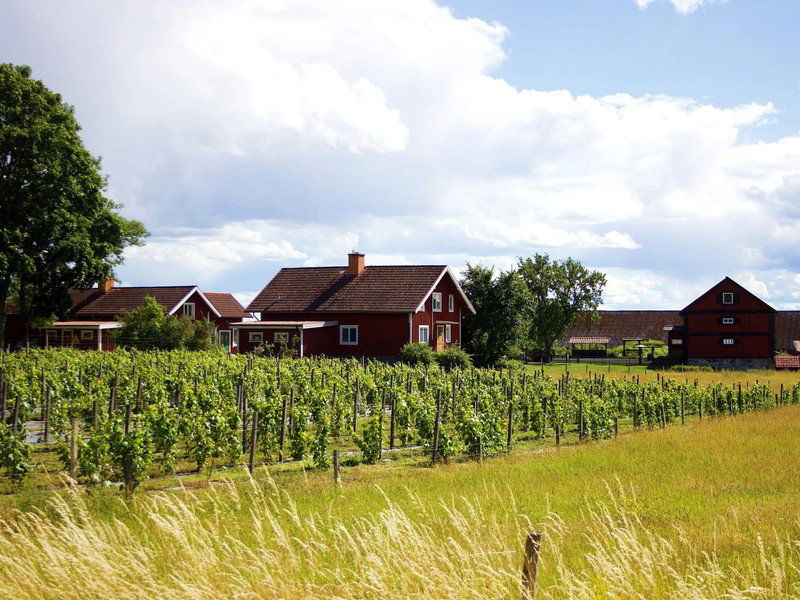 Weingut Heinrich Hartl, Winery in Oberwaltersdorf