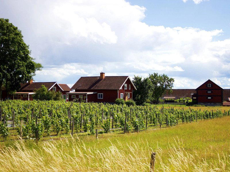 Weingut Heinrich Hartl winery in Oberwaltersdorf