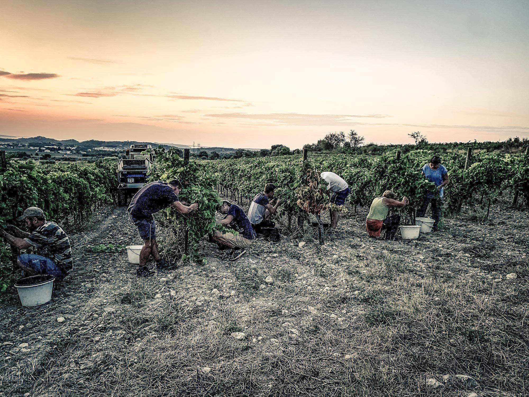 Domaine des 2 Ânes, Peyriac De Mer, France