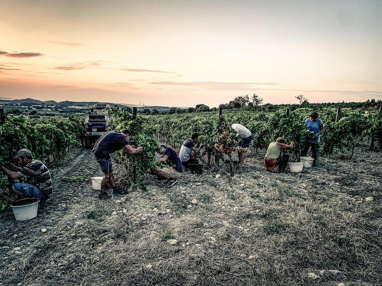 Domaine des 2 Ânes, Peyriac De Mer, France