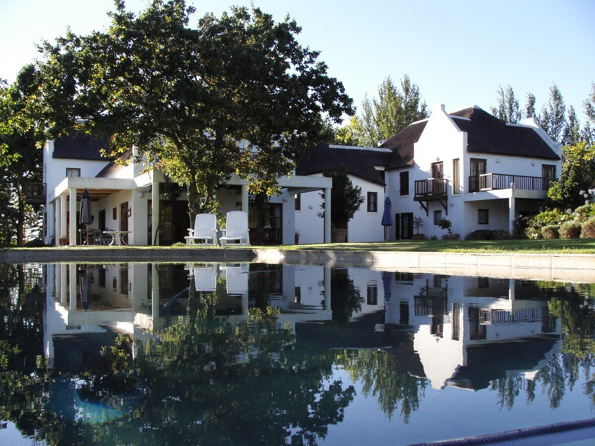 Graceland Vineyards, Stellenbosch, South Africa
