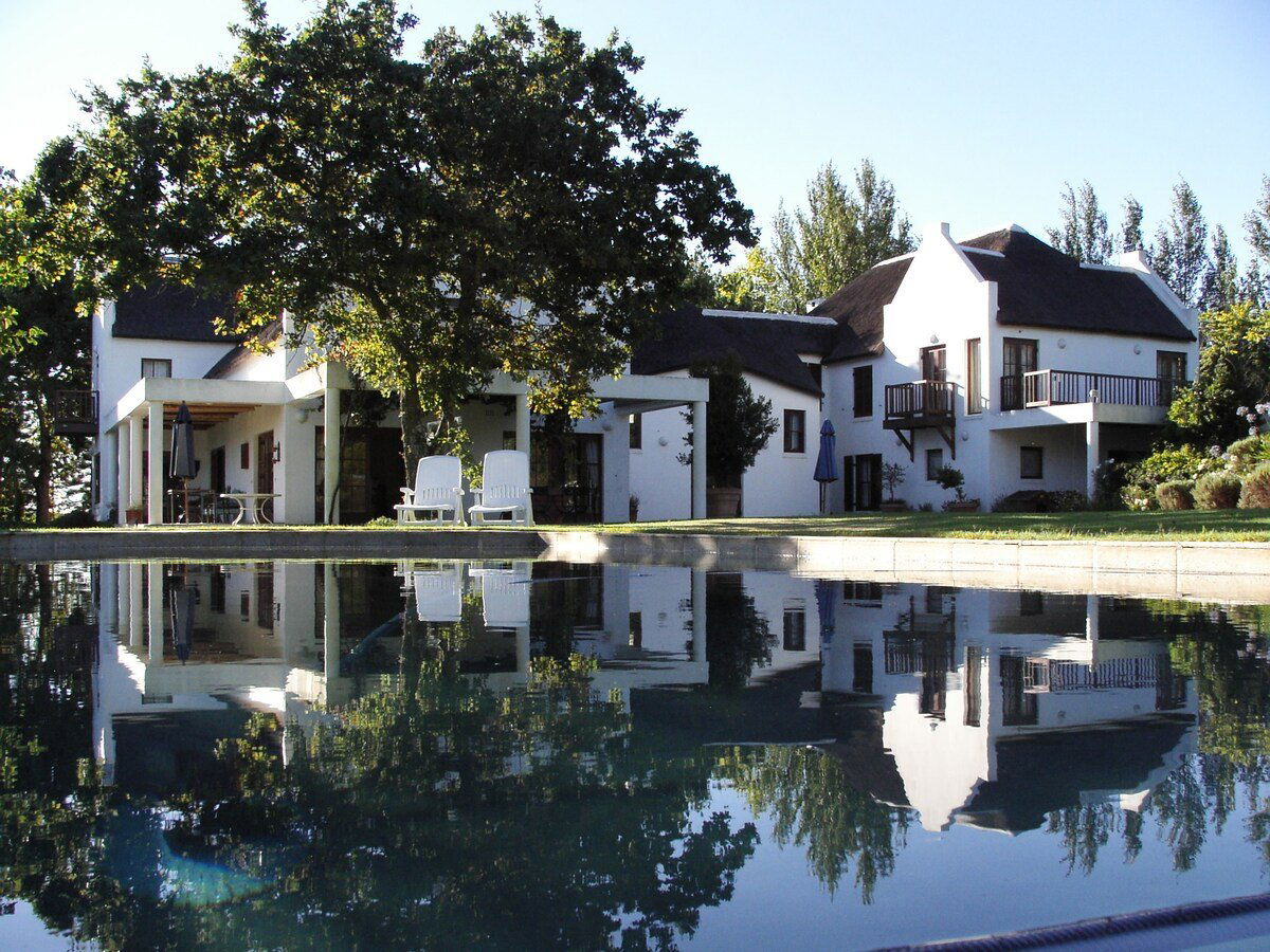 Graceland Vineyards, Winery in Stellenbosch