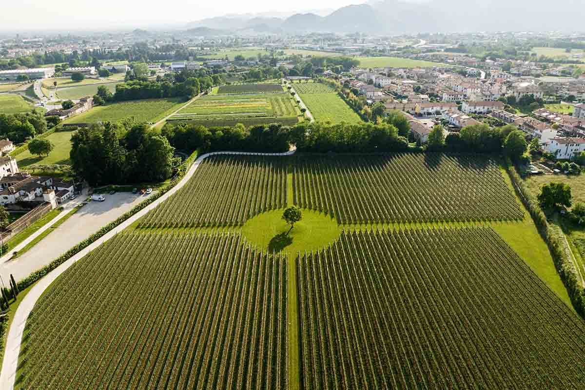 Ca' da Roman, Winery in Romano D Ezzelino
