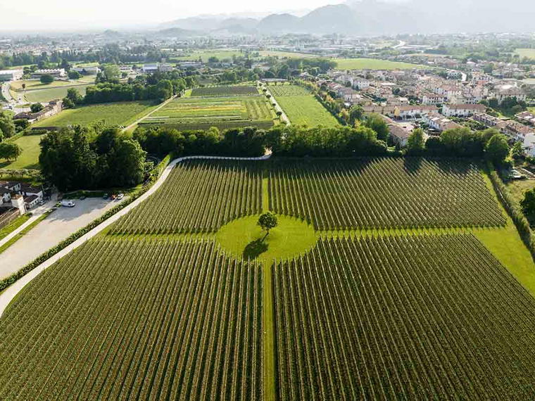 Ca' da Roman, Romano D Ezzelino, Italy