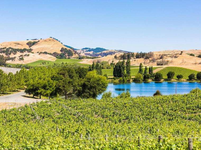 Brandlin, St. Helena, United States
