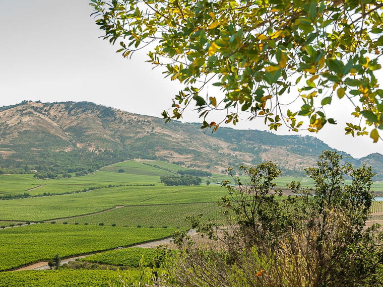 VinRoc, Atlas Peak (Napa), United States