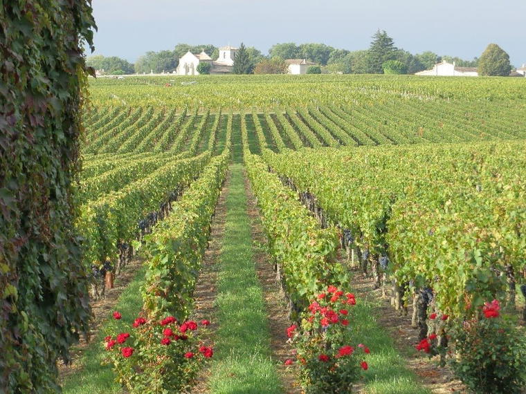 Château Destieux, Saint Hippolyte, France