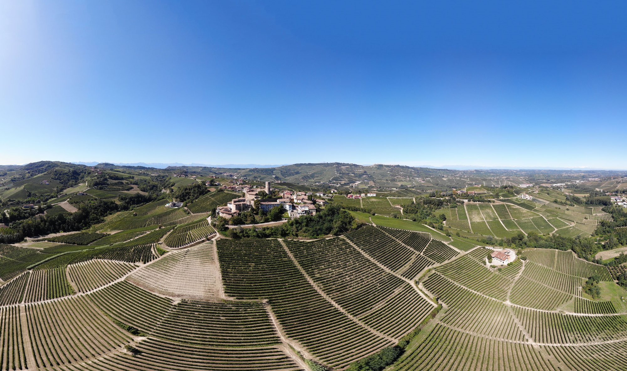 Azienda Agricola Grasso Fratelli