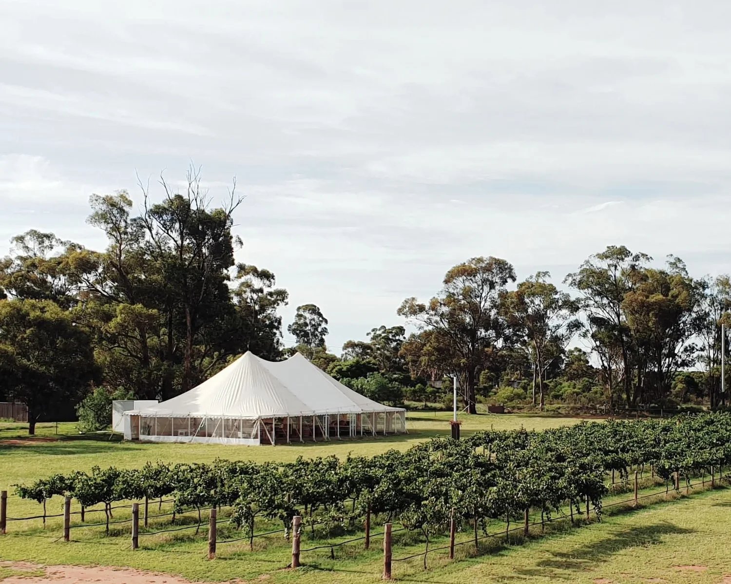 Berton Vineyards