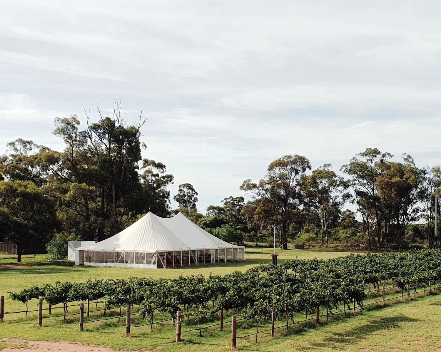 Berton Vineyards, Winery in Yenda