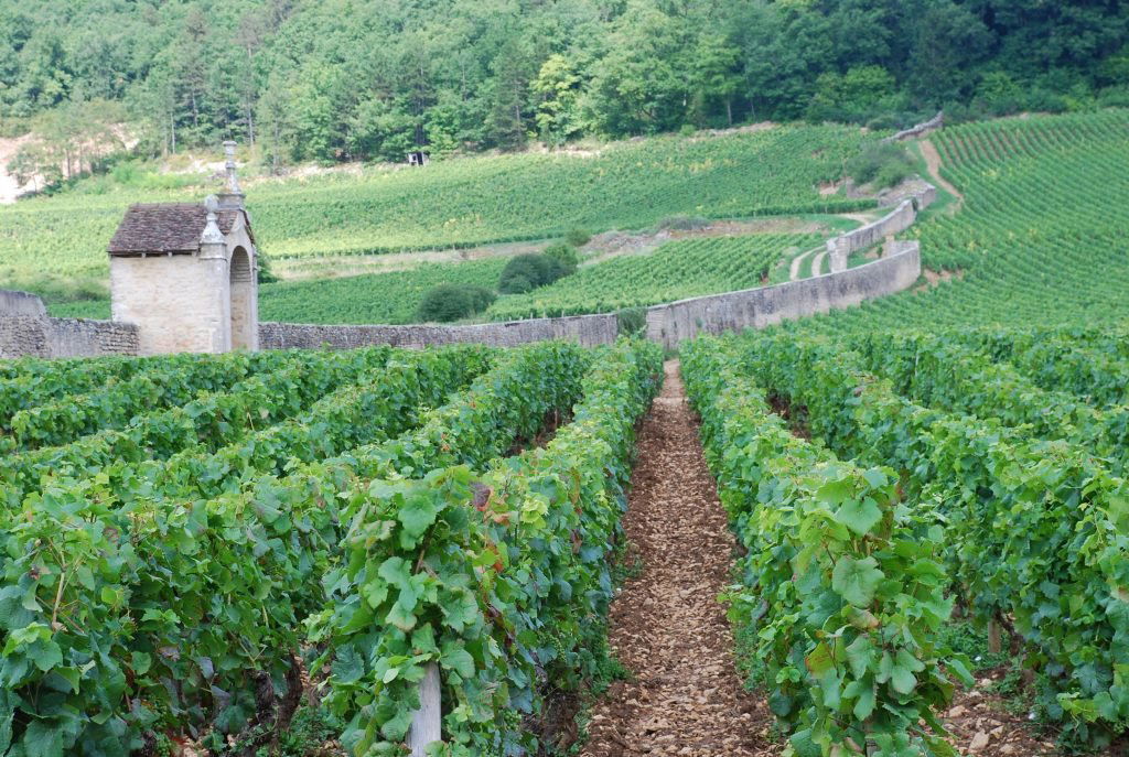 Domaine Dominique Gallois, Winery in Gevrey-Chambertin