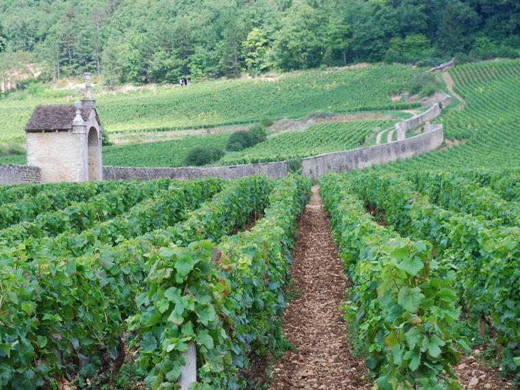 Domaine Dominique Gallois, Gevrey-Chambertin, France