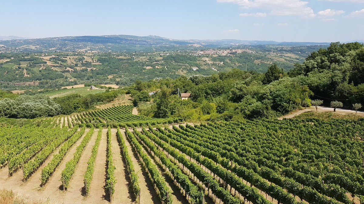 Donna Elvira, Montemiletto, Italy