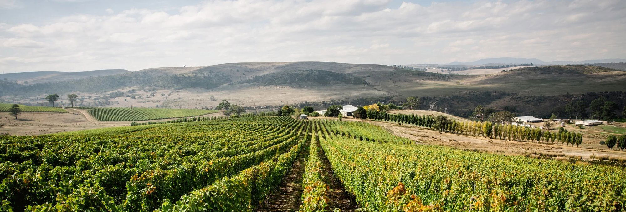 Ben Glaetzer, Winery in Tanunda South Australia