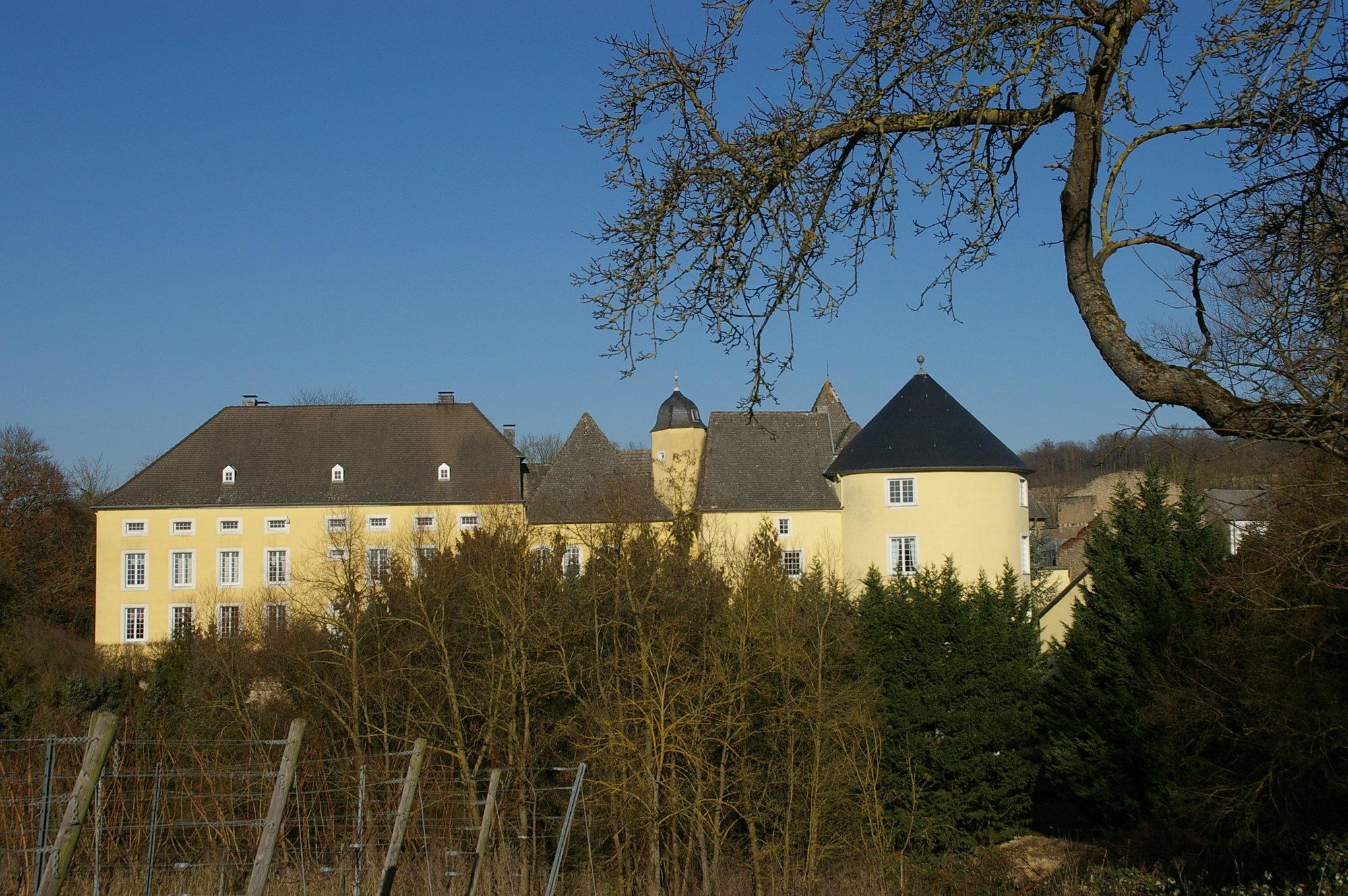 Schloss Thorn winery in Palzem, Germany