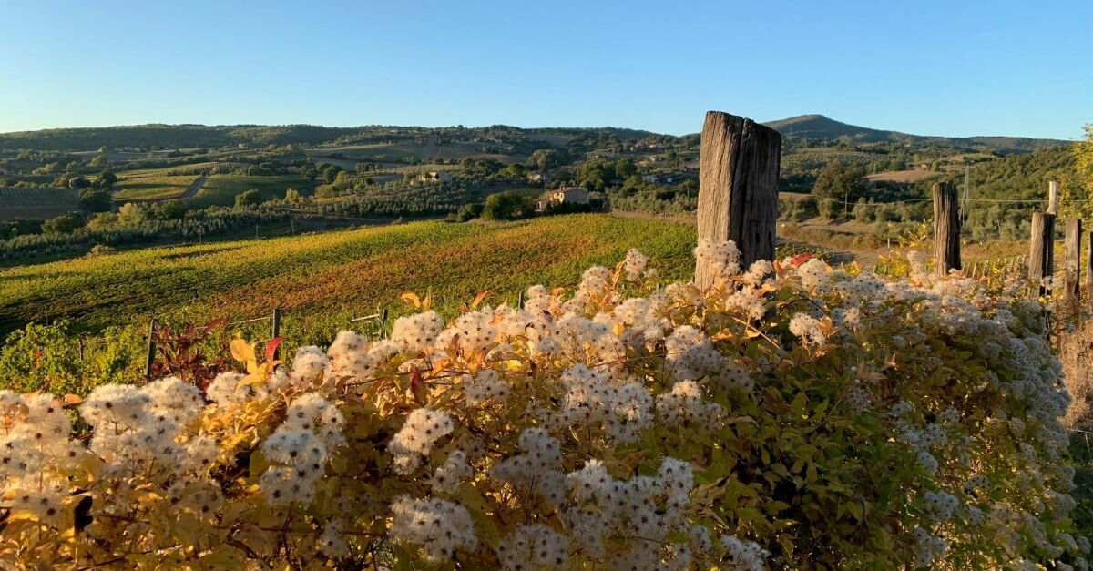 Castello di Corbara, Winery in Orvieto
