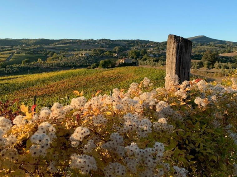 Castello di Corbara, Orvieto, Italy