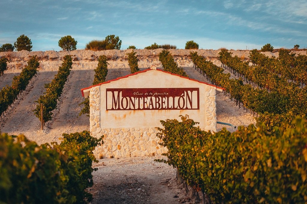 Bodegas y Viñedos Monteabellón, Nava De Roa, Spain