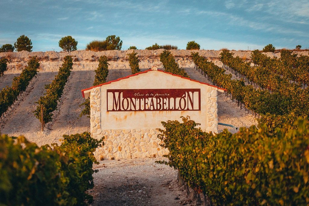 Bodegas y Viñedos Monteabellón, Winery in Nava De Roa