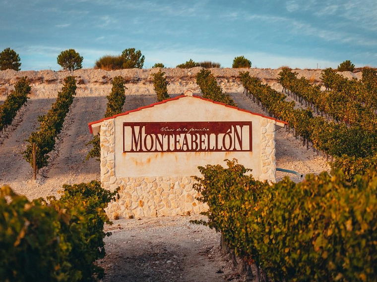Bodegas y Viñedos Monteabellón, Nava De Roa, Spain