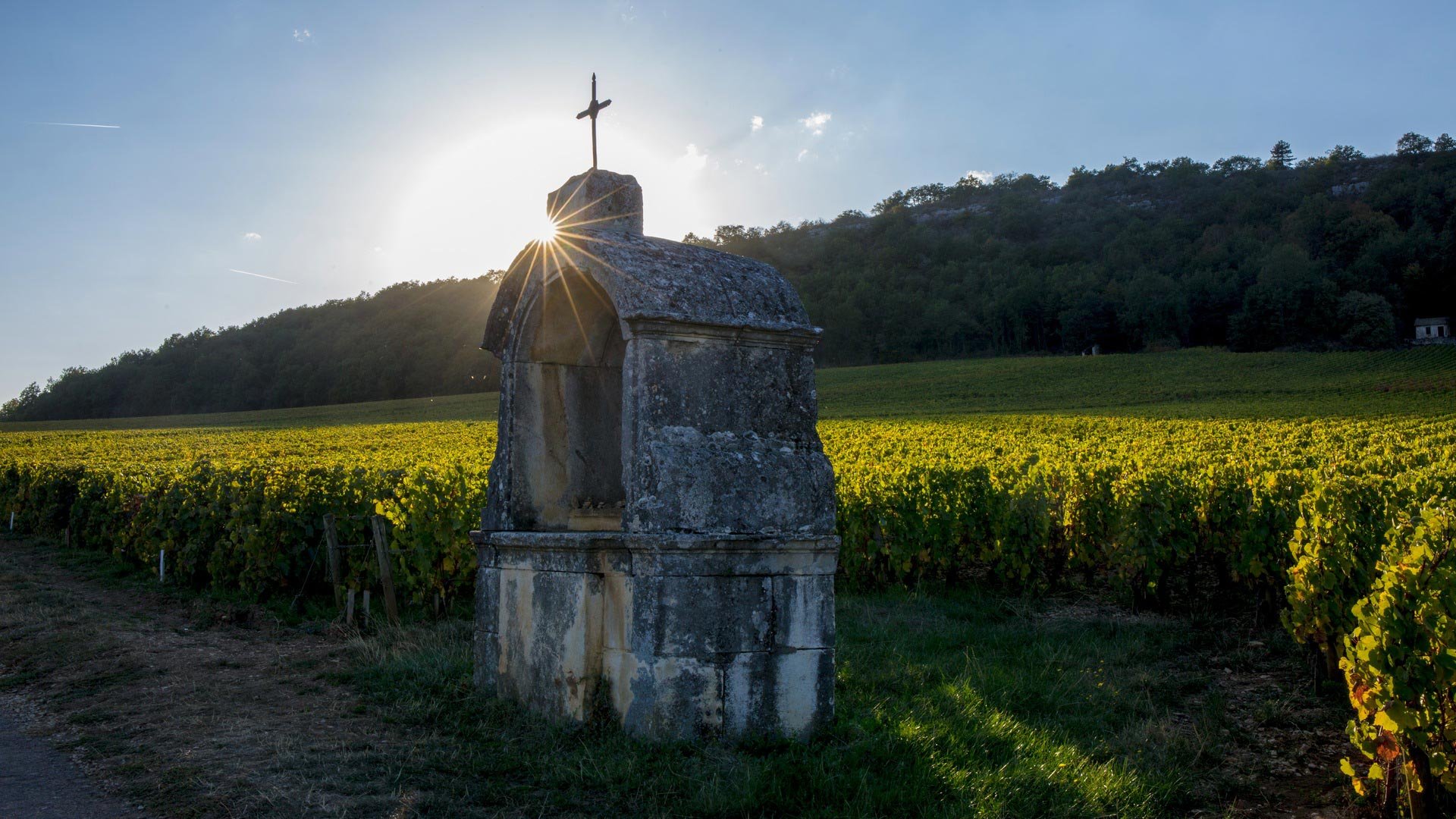 Domaine Larue, Saint-Aubin, France