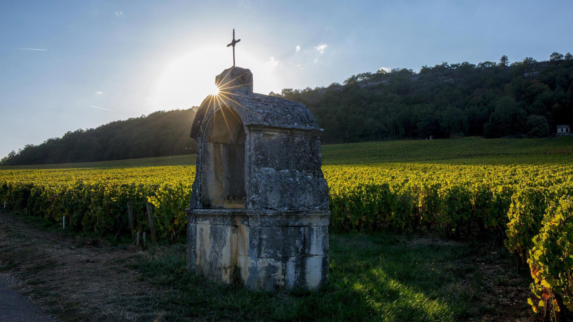 Domaine Larue, Saint-Aubin, France