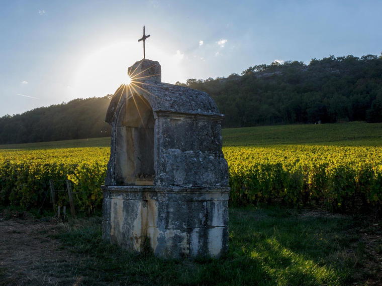 Domaine Larue, Saint-Aubin, France