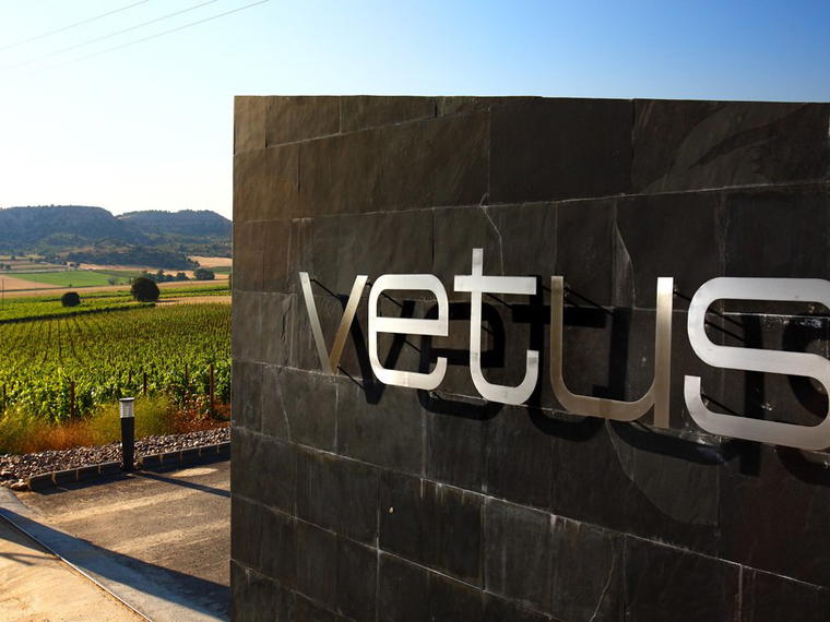 Bodegas Vetus, Villabuena Del Puente, Spain