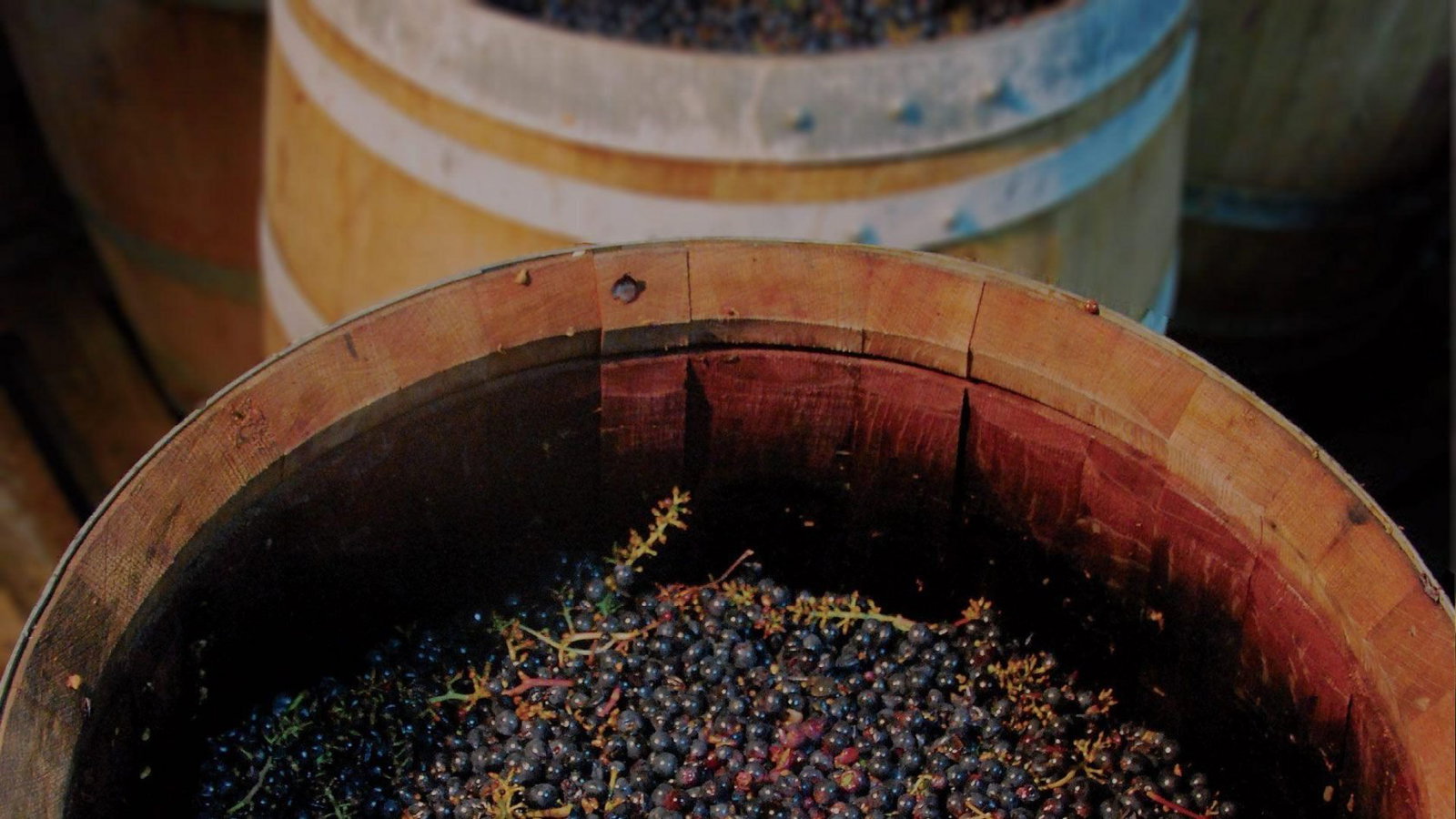 Domaine des Grandes Esperances, Mesland, France