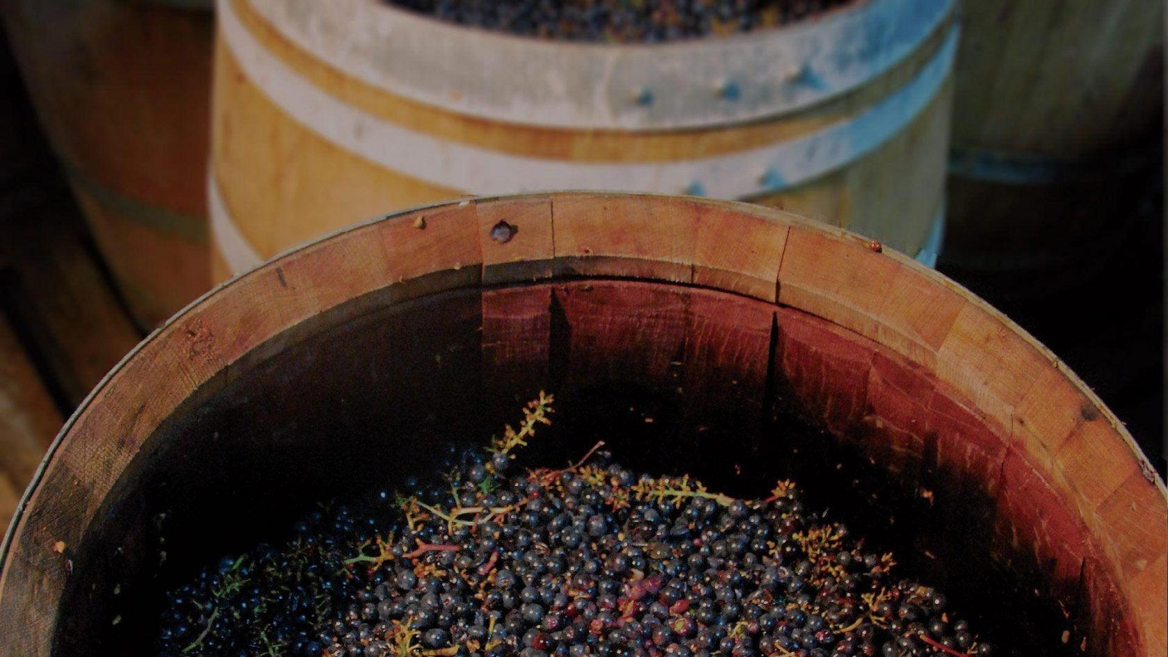 Domaine des Grandes Esperances, Mesland, France
