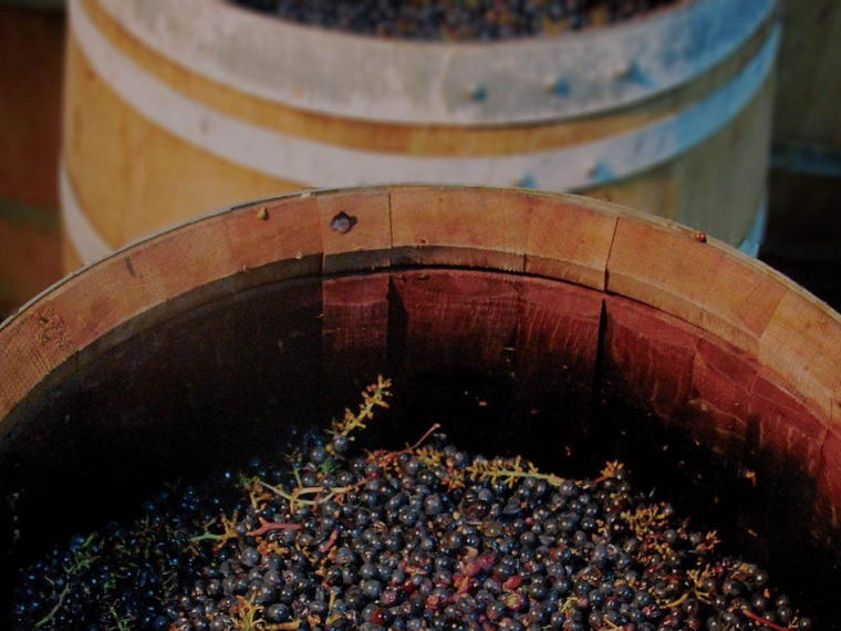 Domaine des Grandes Esperances, Mesland, France