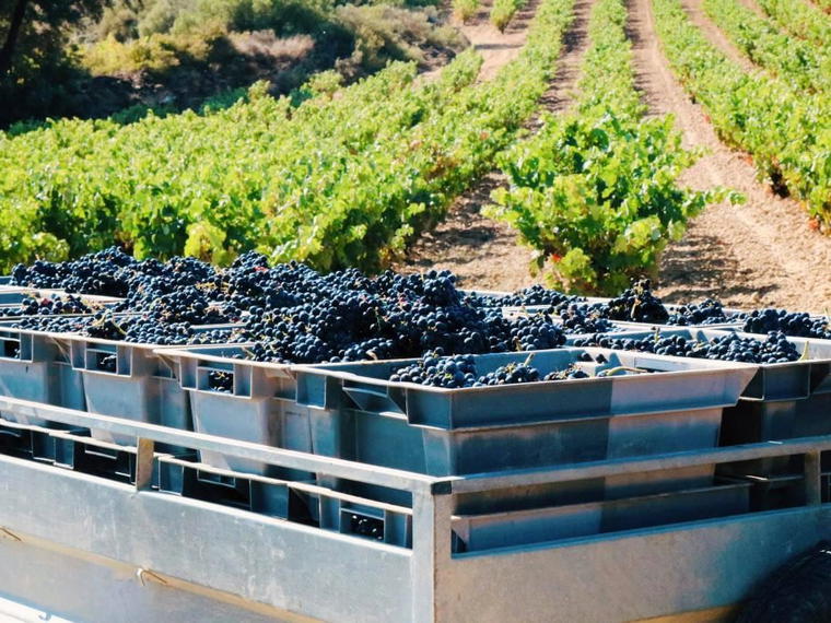 Bodega Contador, San Vicente de la Sonsierra, Spain