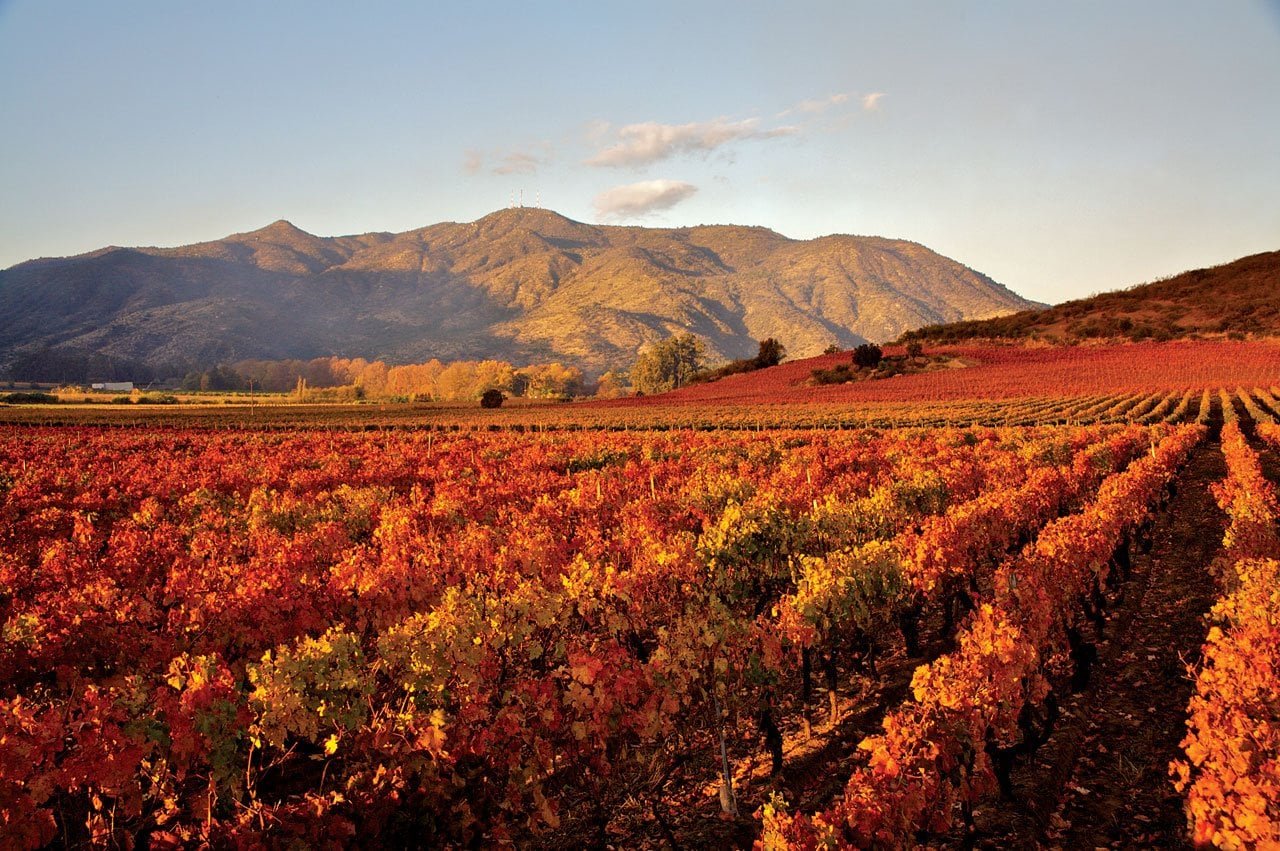 Casillero del Diablo