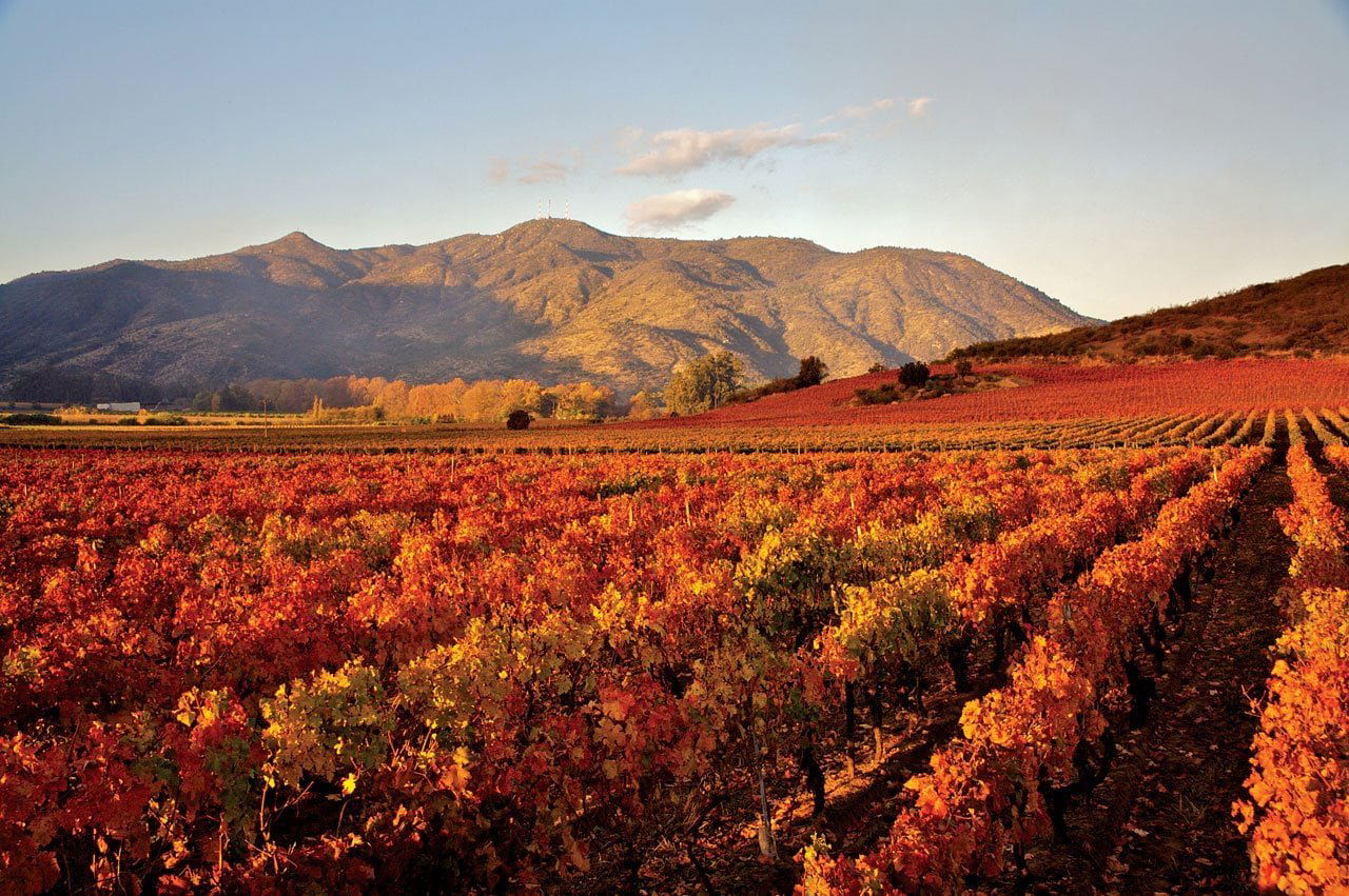 Casillero del Diablo, Winery in Santiago