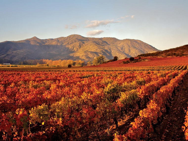Casillero del Diablo, Santiago, Chile