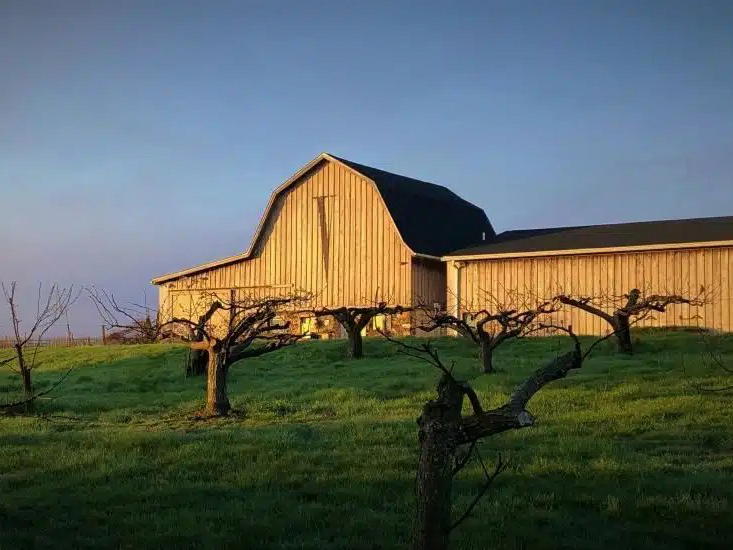 Va La Vineyards, Avondale, United States