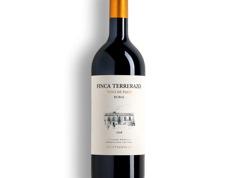 Bodega Mustiguillo, El Terrerazo Utiel, Spain