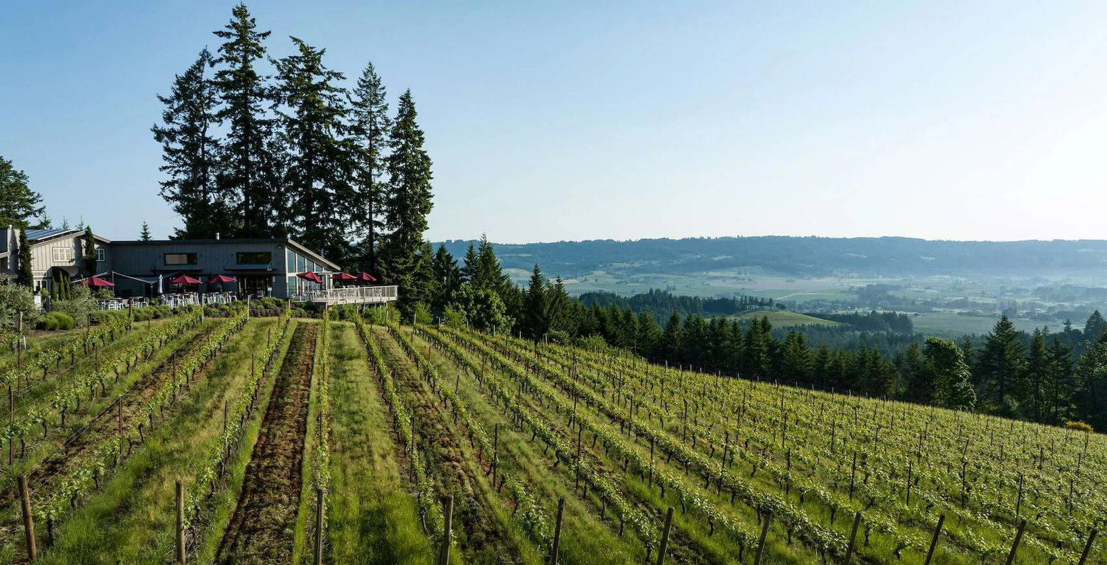 Lange Estate Winery, Dundee, United States
