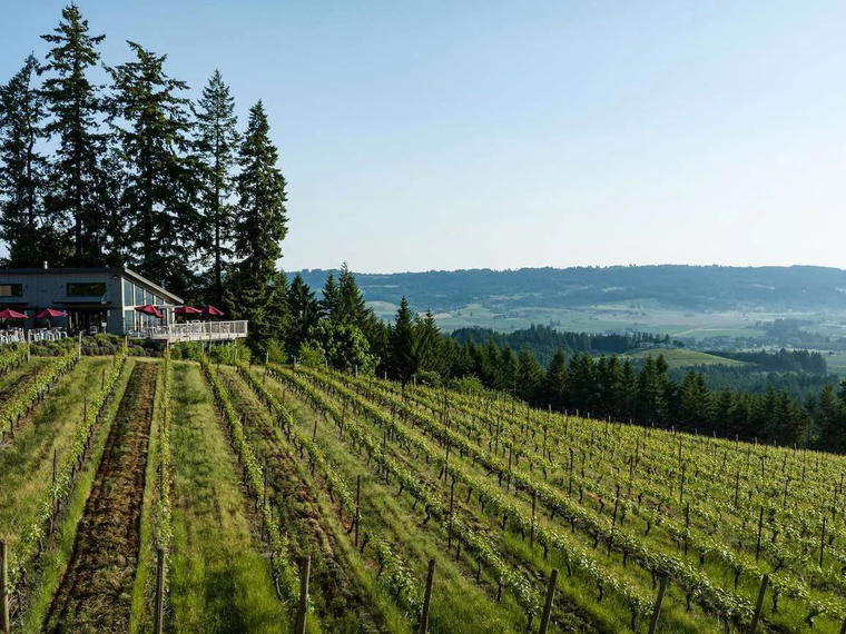 Lange Estate Winery, Dundee, United States