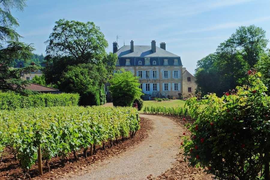 Domaine de Suremain, Mercurey, France