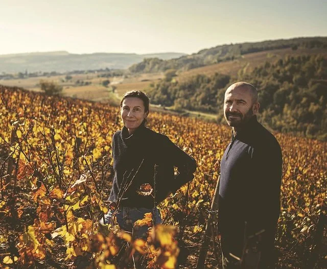 Domaine Marc Colin, Saint-Aubin, France