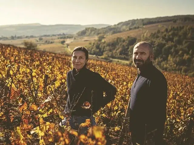 Domaine Marc Colin et Fils, Saint-Aubin, France