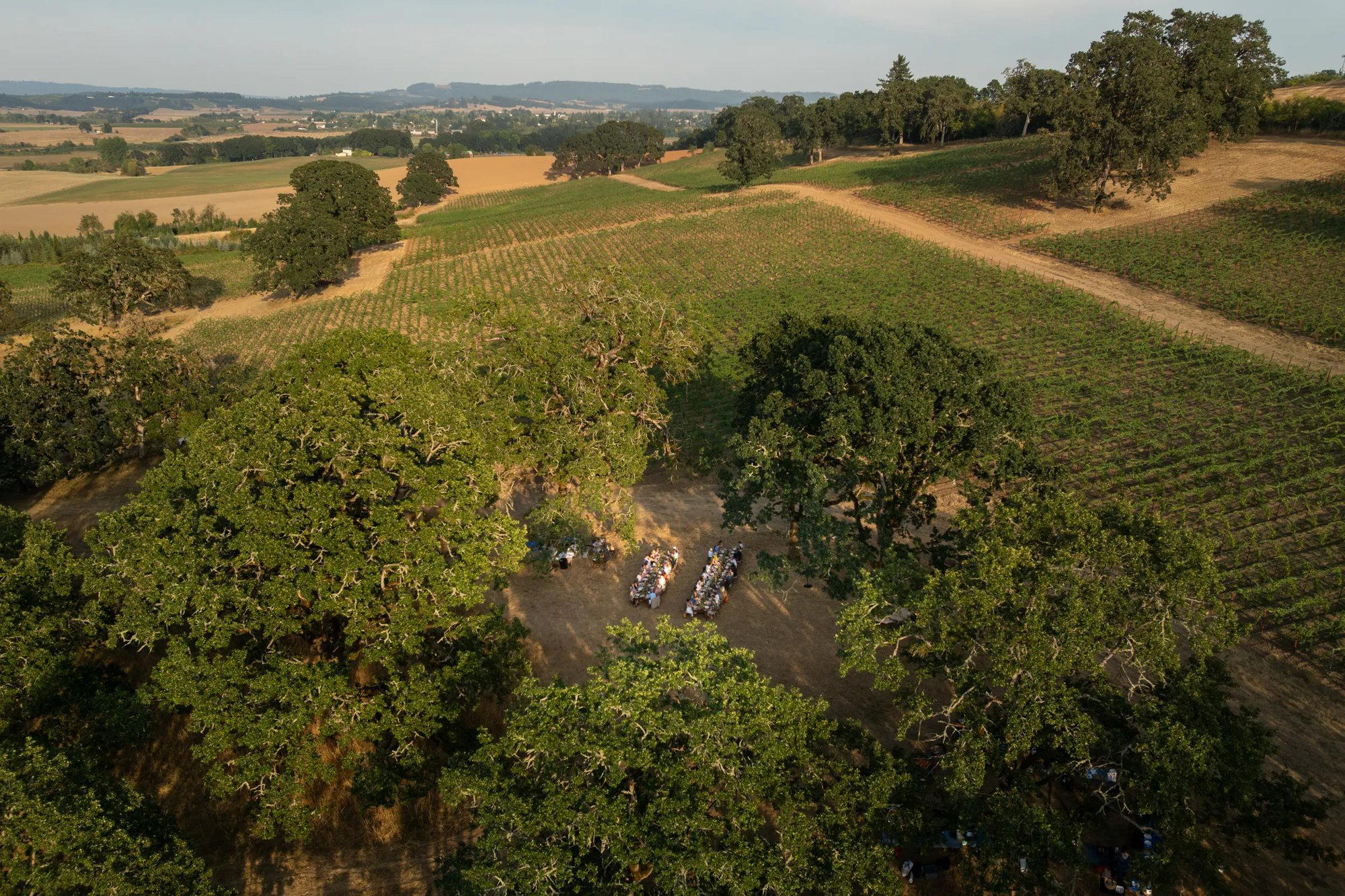 McCollum Family Vineyard winery in Carlton, United States