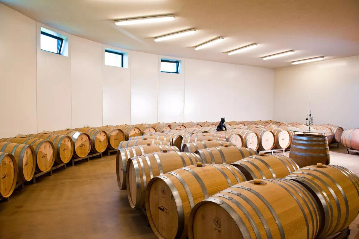 Weinhof Platzer winery in Tieschen