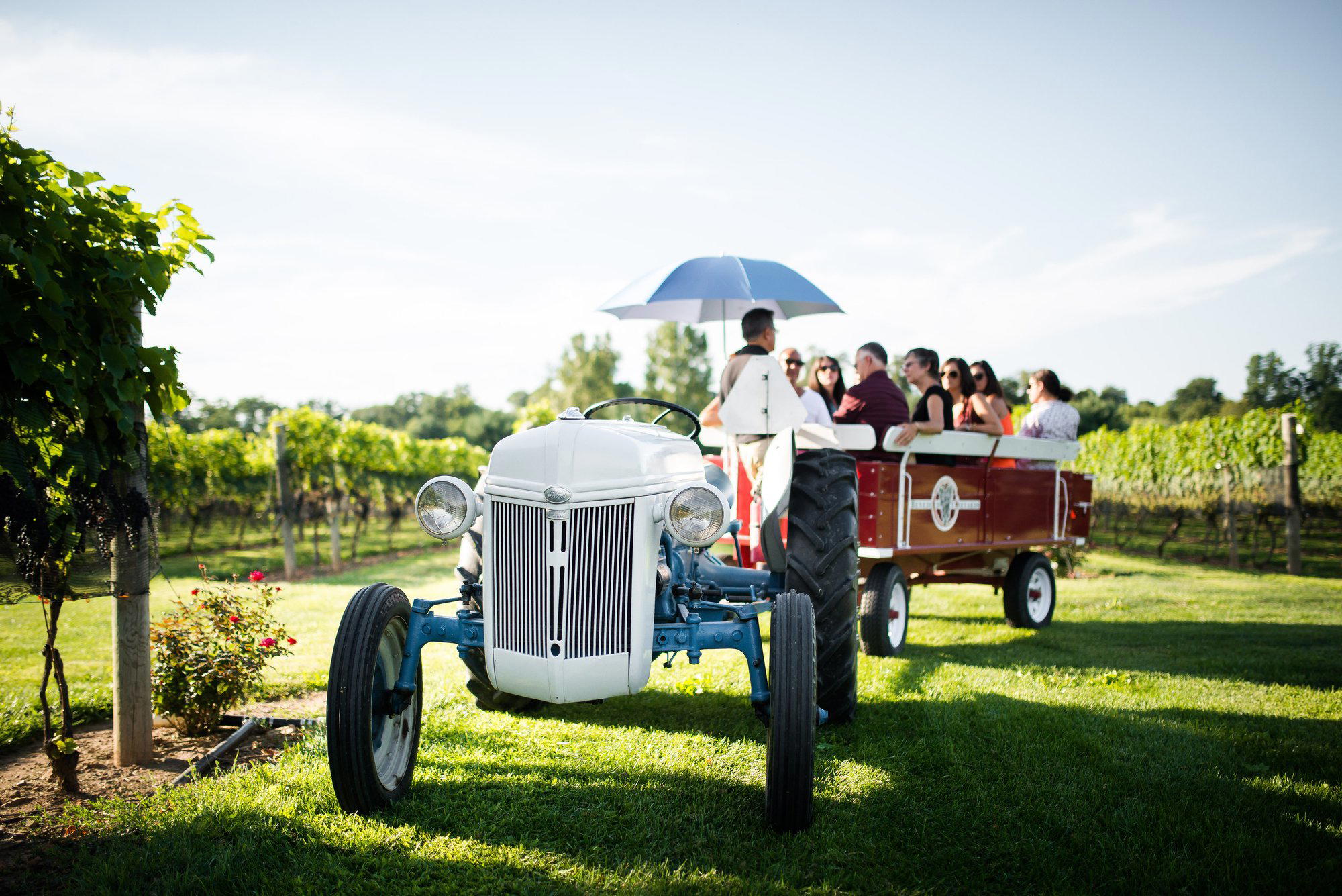 Beneduce Vineyards winery in Pittstown