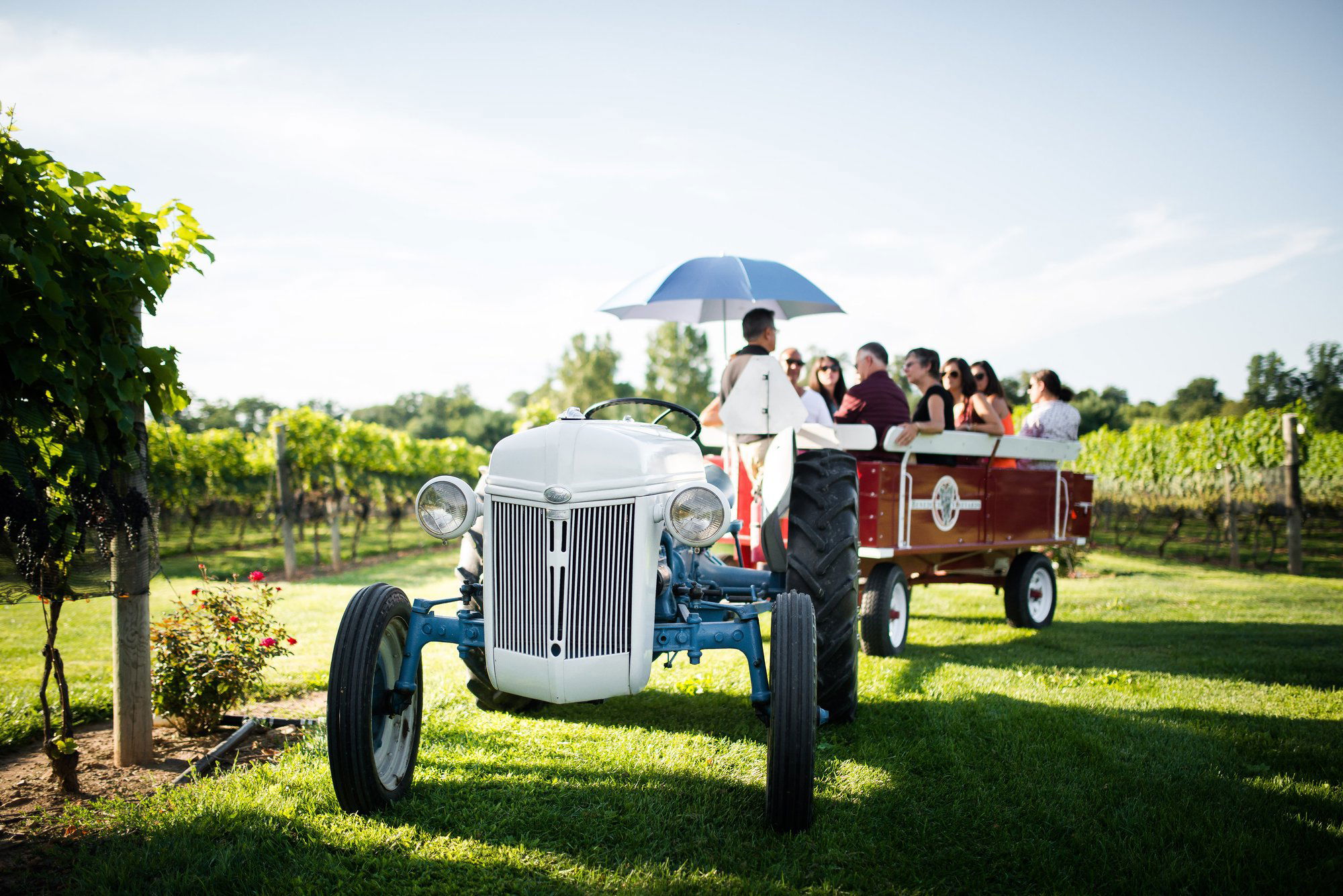Beneduce Vineyards, Winery in Pittstown