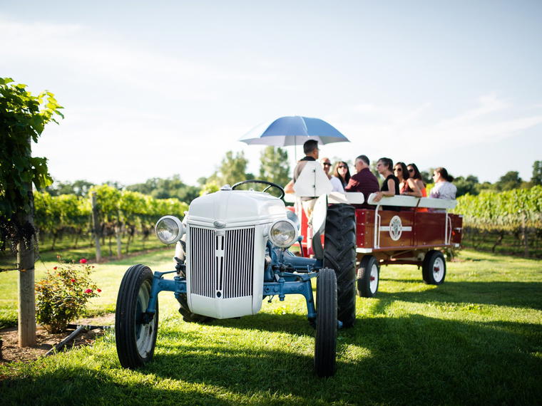 Beneduce Vineyards, Pittstown, United States